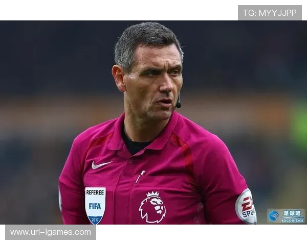 英超裁判评估报告，公开透明度提升